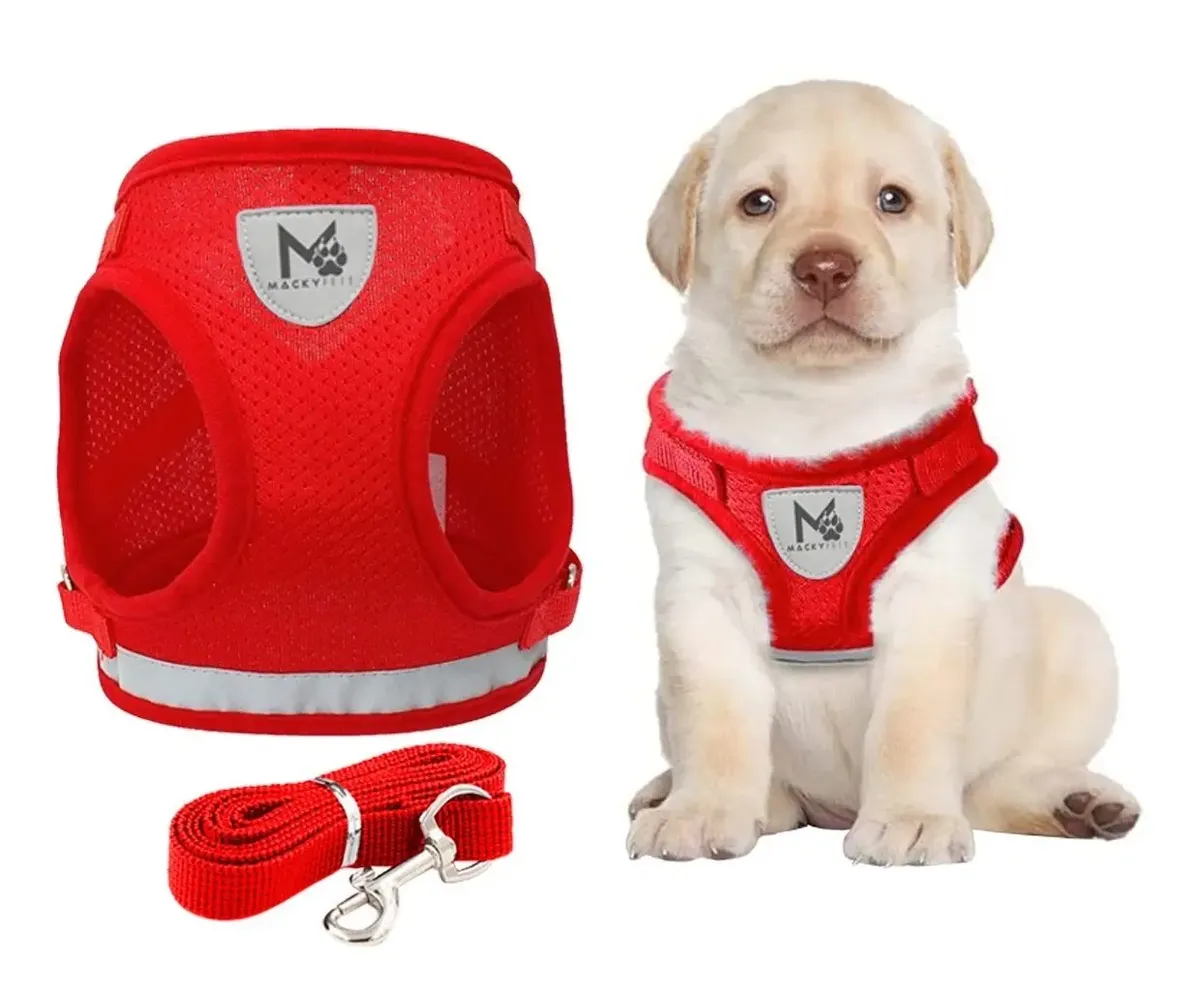 Pechera de Cachorro Reflectiva con Correa