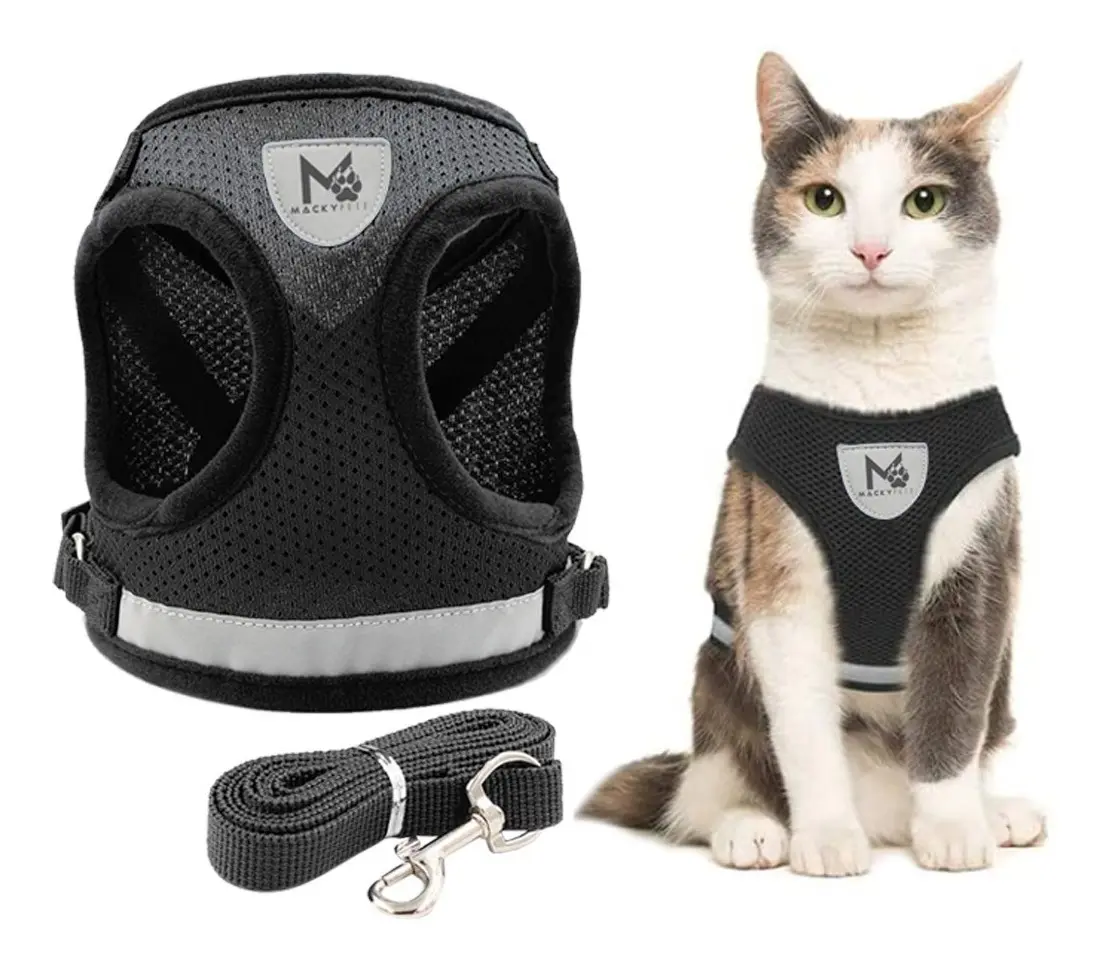 Set Arnés + Correa Para Perros Pequeños y Gatos